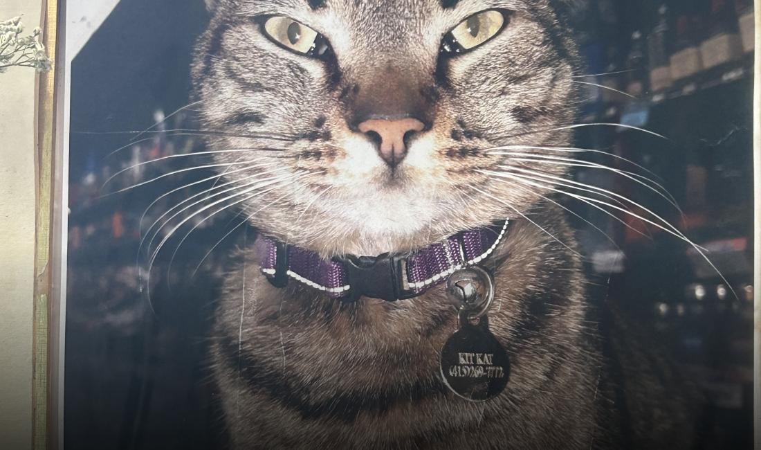 Photo by Joe Mathews