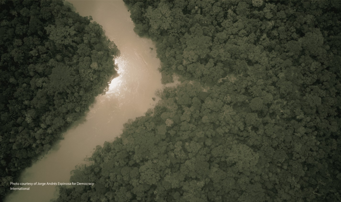 Photo of Yasuni rainforest provided by Jorge Espinosa