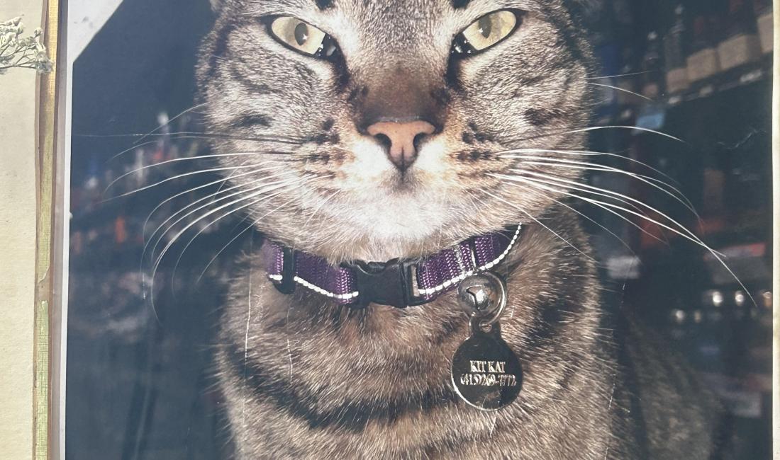 Photo by Joe Mathews