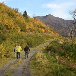 Photo by The Alaska Landmine - Flickr via Wikimedia, CC 2.0.